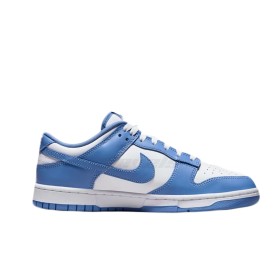 Nike Dunk Low Polar Blue