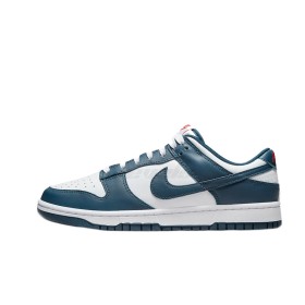 Nike Dunk Low Valerian Blue