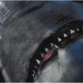 Givenchy Shark Tee Black